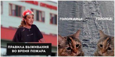 Новости Ольга Бузова